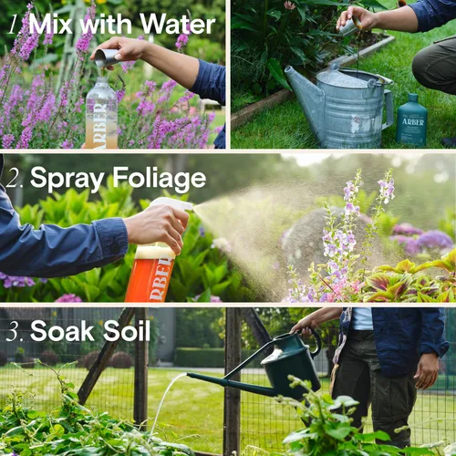 Miniatura 6 de Arber Bio Protectant Fungicida Orgánico para Plantas de Exterior y Concentrado Líquido Estimulante de Raíces Solución Natural de Jardinería que