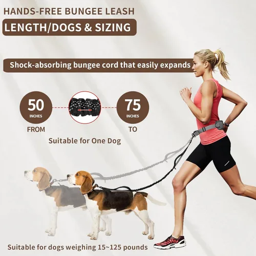 Miniatura 5 de Tails & Tales Correa de perro manos libres con bolsa para la cintura, soporte lumbar mejorado, correa reflectante elástica, cinturón ajustable