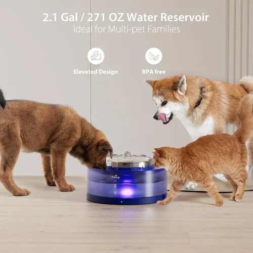 Miniatura 4 de iPettie Fuente de agua para pasteles, dispensador automático de gran capacidad de 8L/2.1 galones, purificador de agua filtrado con bomba inalámbrica