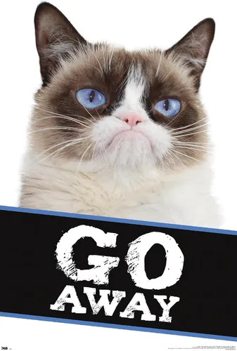 Miniatura 7 de Trends International Grumpy Cat - Póster de pared con texto en inglés «Go Away», 14.725 x 22.375 pulgadas, versión enmarcada de madera de granero