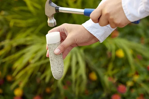 Miniatura 5 de Miracle-GRO Picos de alimento para plantas de frutas y cítricos, 12 picos (paquete de 2)