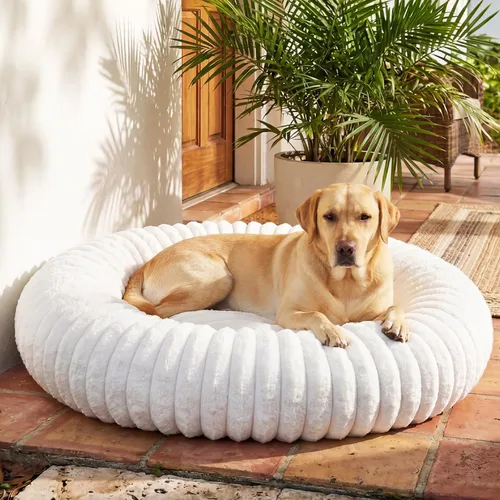 Miniatura 12 de Cama para perros pequeños y medianos, lavable y autocalentable, para gatos de interior, cama mullida de piel de conejo para mascotas para cachorros