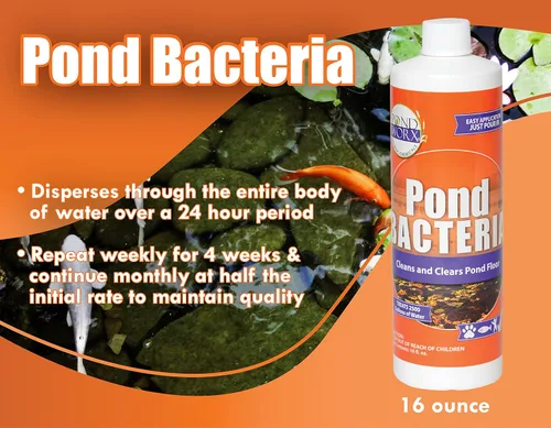 Miniatura 2 de Pondworx Pond Bacteria - Concentrado y formulado para características del agua - Seguro para Koi - 16 onzas y trata hasta 2,500 galones de agua