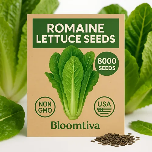Miniatura 7 de Semillas de lechuga romana – Parris Island Cos, más de 8000 semillas reliquia sin OGM, paquete a granel de alta germinación, cultivadas en EE.UU.