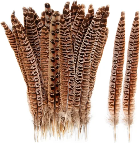 THARAHT 24 plumas de faisán femenino, plumas naturales de 6 a 8 pulgadas, 5.9-7.9 in para manualidades, hogar, boda, fiesta, actuación, decoración