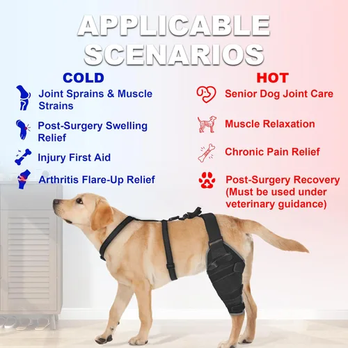 Miniatura 3 de Rodillera para perro para desgarro del ligamento cruzado anterior, soporte de compresión caliente y fría, soporte de rodilla para perros mayores