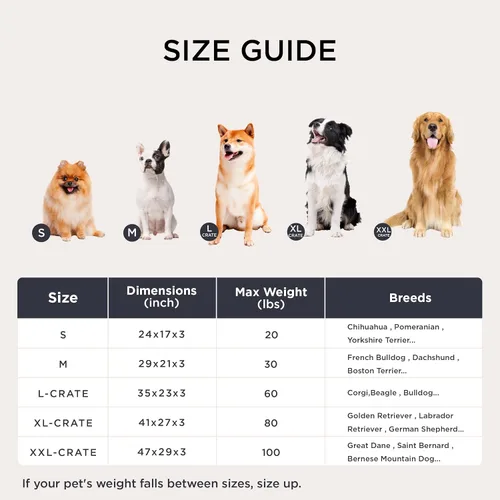 Miniatura 7 de Bedsure - Cama XXL lavable para perros para jaula, almohada gigante de felpa suave para mascotas, cojín para cama de perrera con base Gris