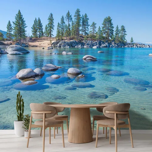 Miniatura 3 de wall26 Paisaje del lago con agua cristalina y piedras y pinos. Mural de pared removible autoadhesivo - 100"x144" Hermosa agua azul clara