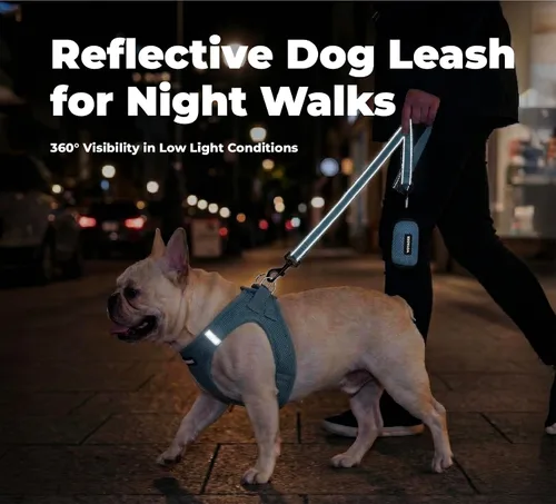 Miniatura 4 de Best Pet Supplies Correa reflectante Voyager para perros con mango de neopreno, para razas pequeñas, medianas y grandes, bonita y resistente