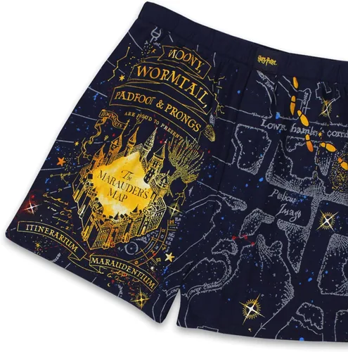 Miniatura 7 de Harry Potter Hogwarts Houses - Calzoncillos tipo bóxer para hombre