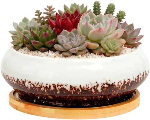 Miniatura 32 de Bonita maceta circular de cerámica para decoración del hogar y jardín, suculentas, cactus, maceta no incluida (azul, 3.19 pulgadas)