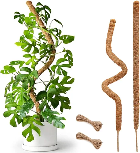 Miniatura 17 de Poste de musgo de 48 pulgadas, poste de musgo flexible para plantas Monstera, postes de musgo altos para plantas trepadoras de interiores, soporte