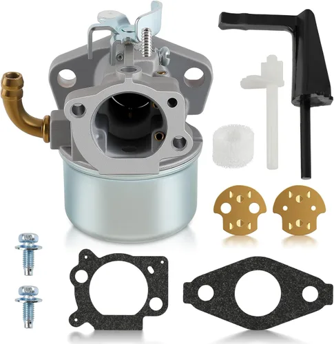 Carburador 591299 Compatible con 591299 798650 698474 791991 698810 698857 698478 694174 690046 693751 798653 698860 790182 694508 697354