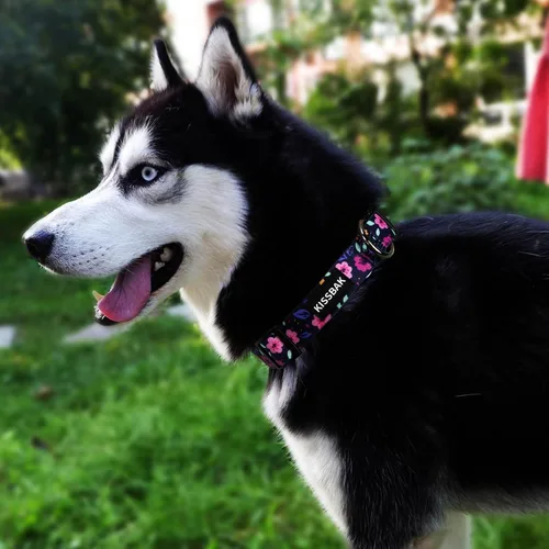 Miniatura 2 de Collar para perros medianos, diseño especial, lindo collar para perritas, suave, ajustable, floral, para cachorros, collares para perros (M, floral)