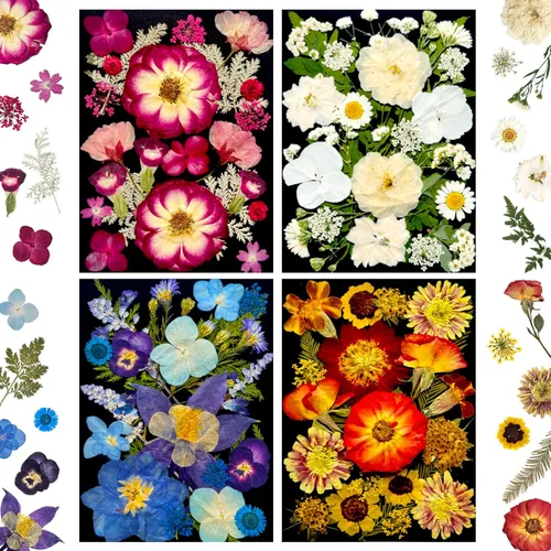 Miniatura 10 de MIKIYA 90 piezas de flores secas prensadas de otoño para resina, hojas florales secas de color naranja natural a granel para manualidades, moldes