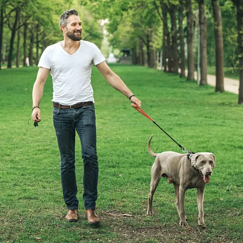Miniatura 6 de Correa de perro resistente, correa de metal a prueba de mordidas para perros grandes (hasta 250 libras), correas de alambre para perros con agarre