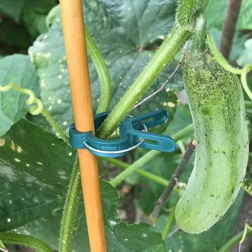 Miniatura 7 de Sago Brothers 40 clips de jardín para jaulas de tomate, clips de soporte de plantas para estacas de bambú, plantas trepadoras, enredaderas, clips