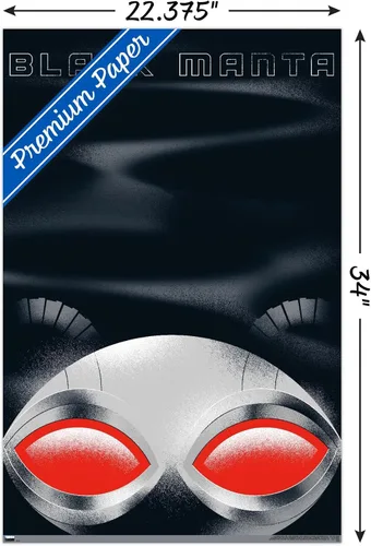 Miniatura 3 de Trends International DC Comics Movie Aquaman y el Reino Perdido - Póster de pared con ilustración de manta negra, 22.37 x 34.00 pulgadas, paquete