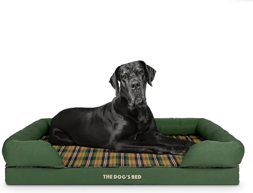 Miniatura 31 de The Dog's Bed - Cama ortopédica de espuma viscoelástica para perros medianos, colchón de soporte de alta densidad, entrada frontal baja, funda negro