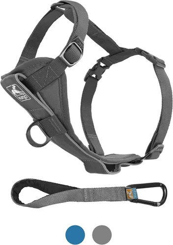Miniatura 14 de Kurgo Tru-Fit - Arnés inteligente para caminar para perros, ajuste cómodo, arnés ajustable, reflectante para mascotas, liberación rápida