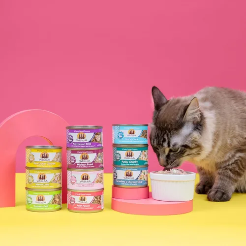 Miniatura 8 de Weruva Asian Fusion - Comida clásica para gatos, fusión asiática con atún y shirasu en salsa, lata de 5.5 onzas (paquete de 24)
