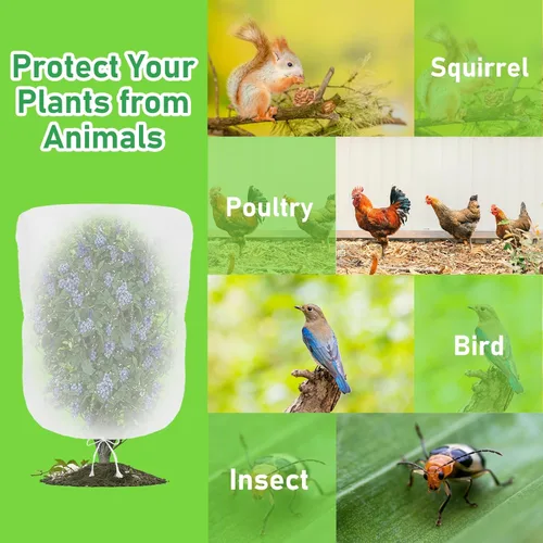Miniatura 2 de Evoio Red para pájaros para jardín, arbustos de arándanos, cubierta de red para árboles frutales, bolsas de malla con cordón, 4 unidades de 2.3 x