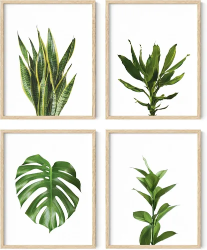 Miniatura 52 de HAUS AND HUES Arte de pared floral gris, juego de 4 pósteres de plantas para pared vintage, impresiones botánicas, cuadros de flores en blanco