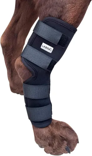 Miniatura 8 de Labra Vendaje de Compresión para Articulación del Corvejón de Pata Trasera de Perro - Soporte Ortopédico para Patas Traseras Débiles, Desgarro