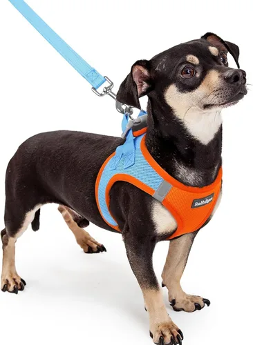 Miniatura 149 de rabbitgoo Juego de arnés para perro de tamaño pequeño y correa, chaleco ligero suave para cachorro, arnés de malla transpirable para mascotas