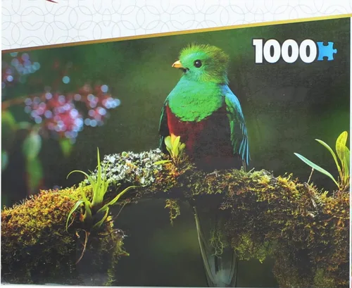 Miniatura 3 de Juego de 2 rompecabezas de recuerdos, 1000 piezas, pájaros coloridos
