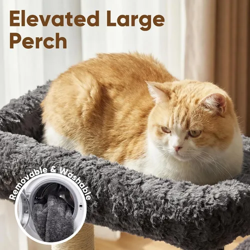 Miniatura 5 de FUKUMARU Árbol para gatos, torre de lujo para gatos de 36.2 pulgadas con dos cuevas, condominio para gatos de varios niveles con poste rascador