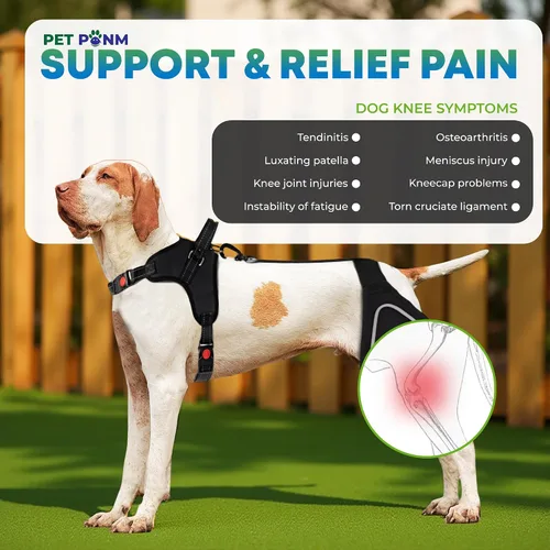 Miniatura 2 de Rodillera ajustable para perro- Pierna trasera derecha con arnés integrado- Soporte premium para recuperación de ligamento cruzado anterior