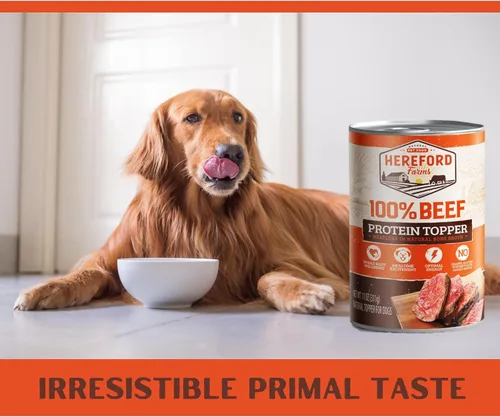 Miniatura 2 de Alimento húmedo para perros 100% de carne de res, un solo ingrediente, mezclador y adorno rico en proteínas, pastel de carne en caldo de hueso, lata
