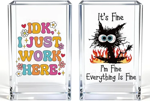 Miniatura 15 de It's Fine I'm Fine Soporte para Lápices y Bolígrafos Cosméticos de Acrílico, Divertido Soporte para Bolígrafos de Gato Negro, Regalo para Amantes