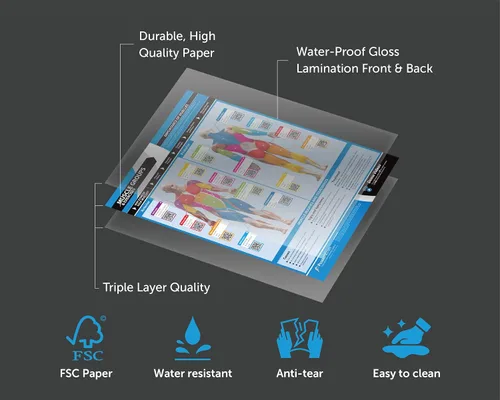 Miniatura 5 de Póster de gimnasio para grupos musculares y ejercicios, laminado, EXTRAGRANDE 33" x 23.5", tabla de pared de gimnasio y fitness en casa, incluye