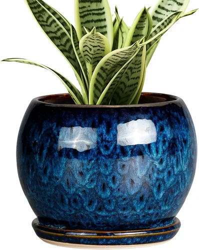 Miniatura 44 de SQOWL Macetas de cerámica – Maceta de 6 pulgadas con orificio de drenaje y bandeja, maceta redonda para plantas de interior, maceta decorativa