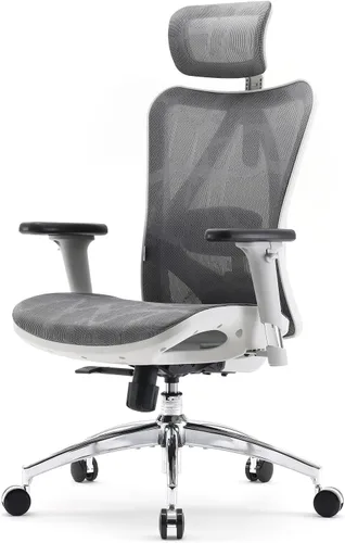 SIHOO M57 Silla de oficina ergonómica de malla, silla de escritorio con respaldo alto para el hogar con reposabrazos 3D, soporte lumbar y Gris claro