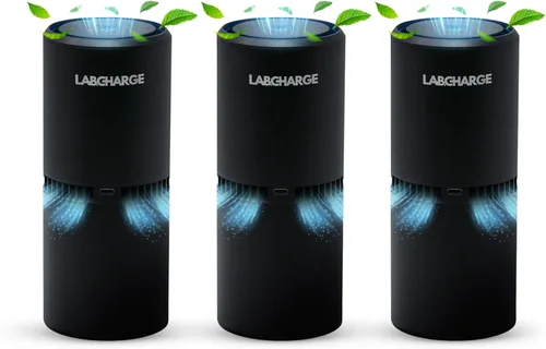 Lab Charge Purificador de Aire Iónico Pequeño para el Hogar y el Dormitorio – Filtro HEPA Silencioso – Cubre 250 Pies Cuadrados - Elimina Mascotas,