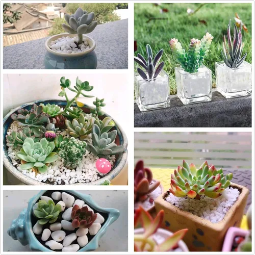 Miniatura 3 de Guijarros blancos decorativos pulidos naturales de 10 libras, piedras pequeñas de 3/8 pulgadas, piedras de río para plantas, decoración del hogar
