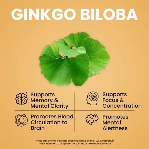 Miniatura 5 de NooMost Cápsulas de suplemento de hongos de melena de leones de 1080 mg con ginkgo biloba, energía, enfoque, claridad y apoyo de memoria