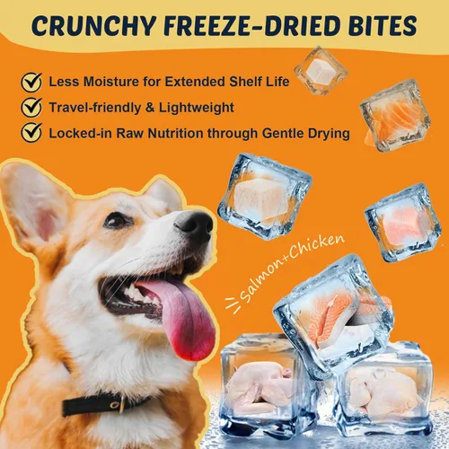 Miniatura 4 de DRFOSTER Aceite de pescado Omega 3 para perros, aceite de salmón para perros con EPA y DHA para la salud de la piel y el pelaje, alivio de picazón