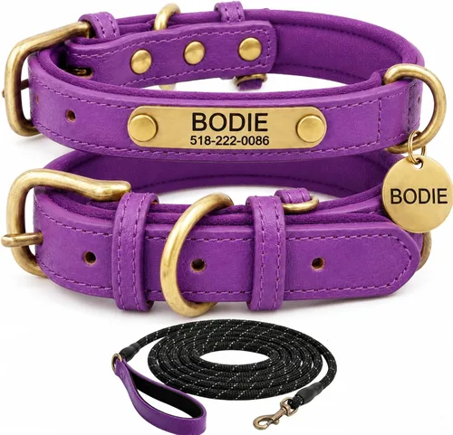 Miniatura 21 de Collar de cuero para perro personalizado y juego de correa, personalizado con diseño acolchado suave y resistente con placa de nombre grabada