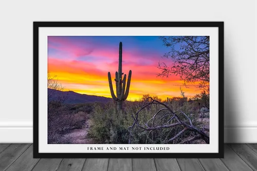 Miniatura 3 de Southwestern Photography Print (Not Framed) Picture of Saguaro Cactus at Sunrise in Sonoran Desert near Tucson Arizona Western Wall Art Nature Decor
