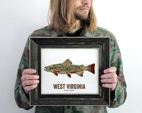 West Virginia State Fish, Map art, Nature Outdoor art, Vintage Map art, Art print, Fish Wall decor, Fish Art, Gift For Men - Brook Trout