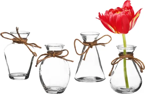 Royal Imports Jarrón de cristal transparente, centro de mesa pequeño de un solo tallo, mini tarros florales decorativos, decoración rústica del