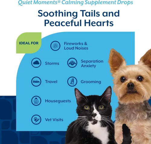 Miniatura 4 de NaturVet Quiet Moments - Gotas calmantes para gatos y perros – Ayuda a reducir el estrés de las mascotas, promueve la relajación – Suplemento