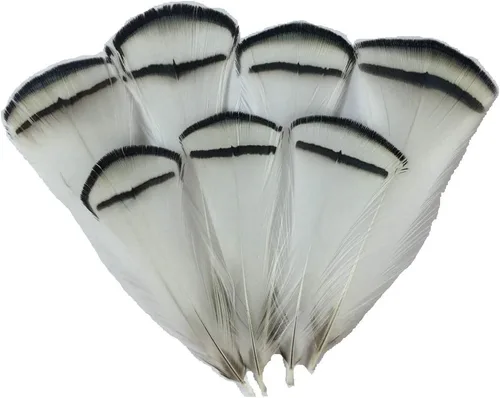 Miniatura 8 de Sowder 50pcs plumas de plumaje de pavo real azul 1-3 pulgadas decoración casera boda