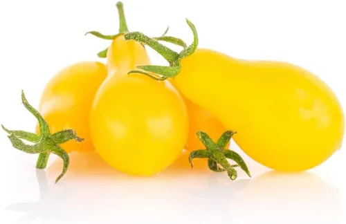 Miniatura 3 de Tomate Yellow-Pear (75 Semillas)