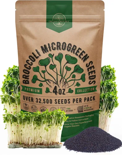 Miniatura 10 de Organo Republic Semillas de germinación de rúcula y microgreens – 55,000 semillas de reliquia sin OMG, brotes en bolsa resellable de 4 onzas