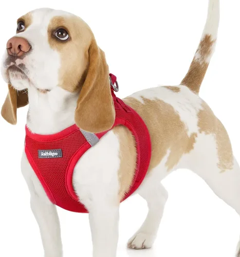 Miniatura 107 de rabbitgoo Arnés para perro pequeño, chaleco de malla suave para cachorros con hebilla de seguridad, arnés reflectante transpirable para mascotas